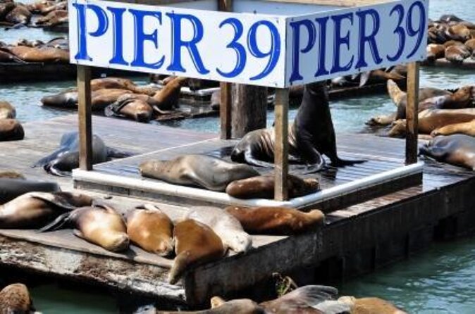 Ticket Pass to the Flyer 7D Ride and Laser Maze in Pier 39 - Ticket Pass Inclusions