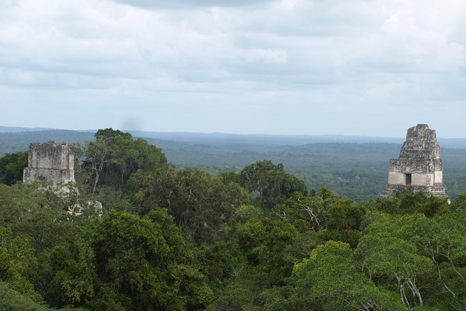 Tikal Maya Site With Local Guide & Lunch - Experience Tikal Maya UNESCO Site