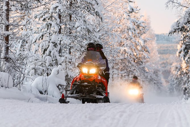 To the Kingdom of Snow and Ice – Full Day Snowmobile Safari to Ice Hotel - Overview and Experience
