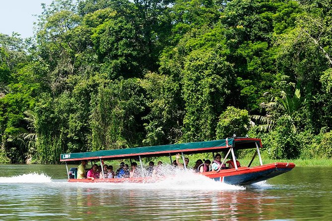 Tortuguero National Park Eco Adventure Canoe Tour From San Jose - Tour Highlights
