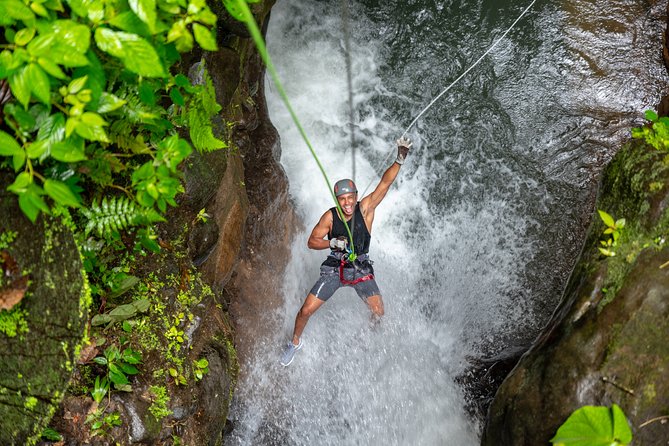Tour 4 in 1 (Rappel, Zipline, Pool Jumping & Hike) With Lunch and Transportation - Tour Activities