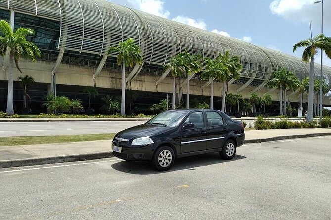 Tour Guide or Private Driver - Pricing and Booking Process