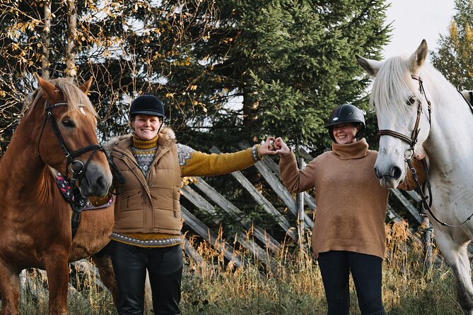 Tour to Aurora Horses Farm With Charming Finnhorses - Tour Overview