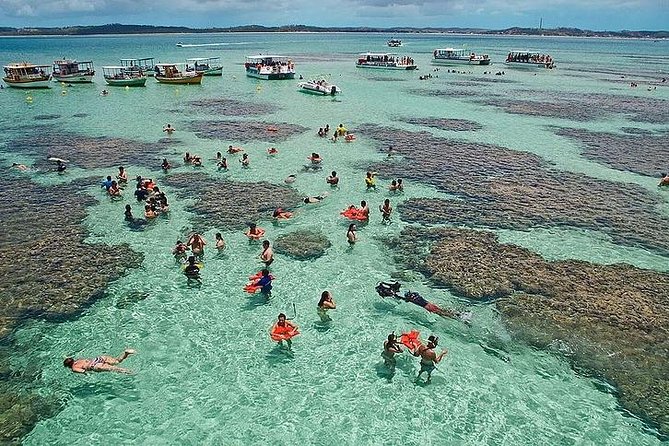Tour to Maragogi From Maceió, Including Natural Pools by Edvantur - Inclusions and Exclusions