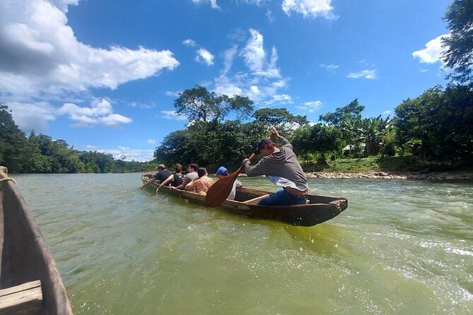 Tour to the Amazon for One Day - Tour Highlights