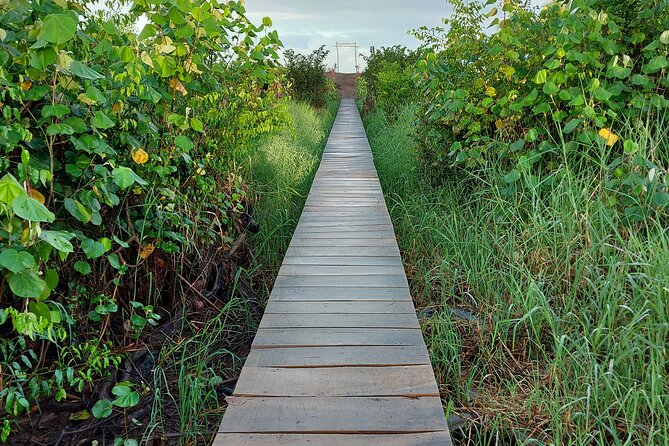 Tour to the Sirena Ranger Station in Corcovado - Pricing and Duration