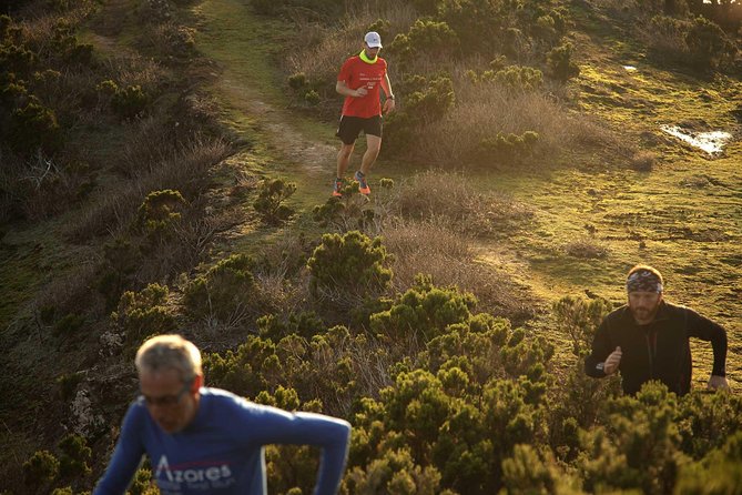 Trail Running Private Tour in Faial - Tour Details