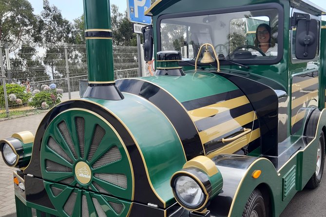 Train Ride to the Highest Cliff in Europe Half-Day Tour - Tour Pricing and Booking Details