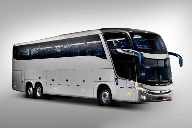 Transfer in - Airport to Your Hotel in Natal - Booking Confirmation and Accessibility Information