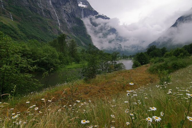 TRANSFER, LUXURY CAR 1-3 PAX: Bergen – Flåm, Gudvangen - Transfer Options and Availability
