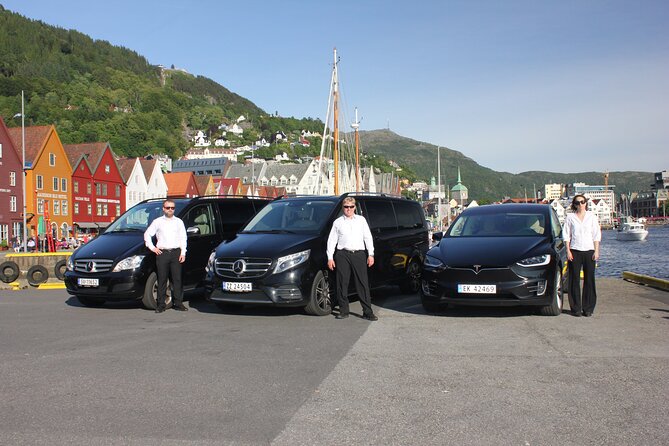 TRANSFER, STANDARD, 1-7 PAX: Bergen – Oslo - Transfer Service Overview