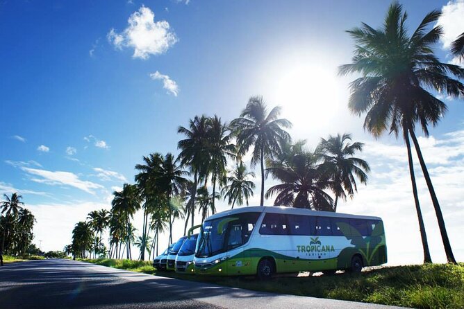 Transportation From Recife International Airport to Maragogi - Pricing and Booking Details
