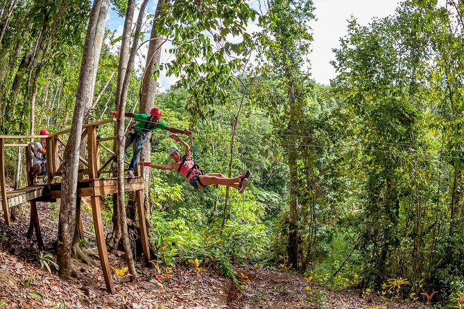 Treetop Zipline Experience From Castries - Inclusions