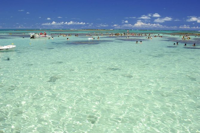 Tropical Paradise: Maragogi Beach Adventure Awaits - Pricing and Booking Details