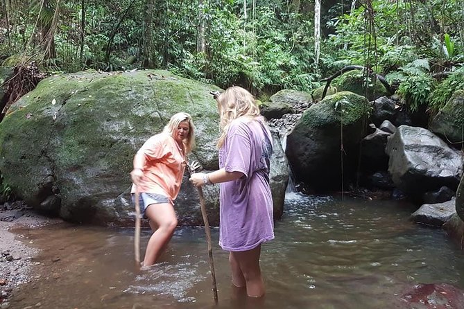 Tropical Rain Forest Explorer In St. Kitts - Volcanic Rocks in Wing Field River