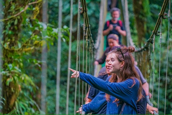 Tropical Rainforest, Hanging Bridges And Jungle Sloths Sanctuary - Good To Know