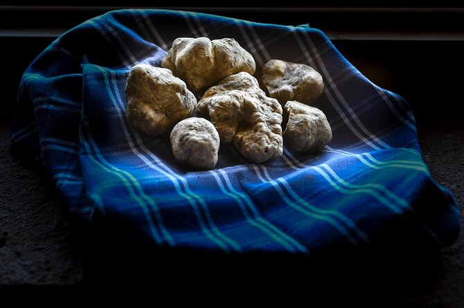 Truffle Hunting and Handmade Pasta in Ascoli Piceno - Truffle Hunting Experience With Dogs