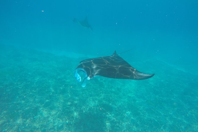 Try Diving in Manta Point - Nusa Penida - Meeting and Pickup Details