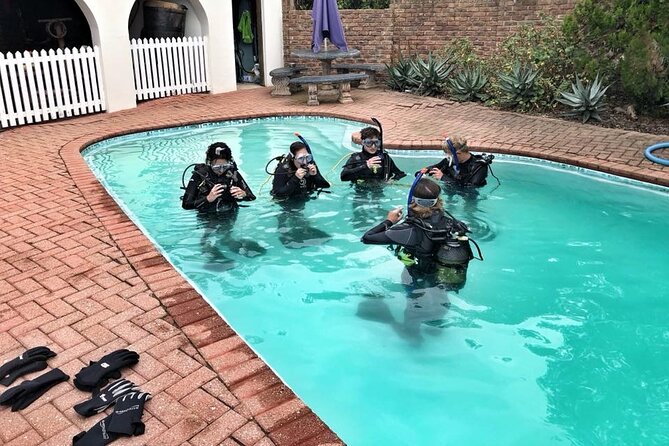 Try Scuba Diving in Mossel Bay - Diving Equipment and Services Provided