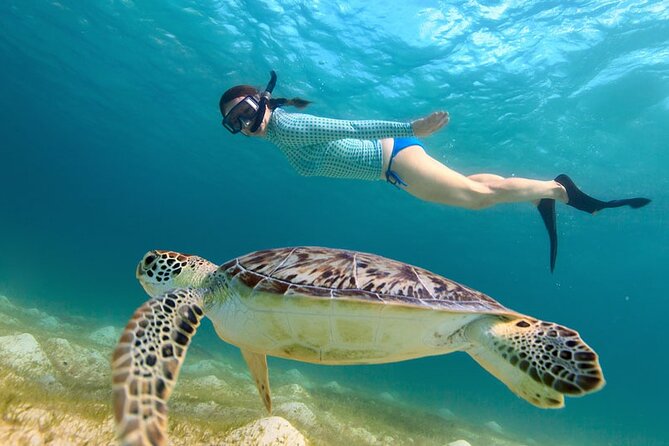 Turtle Snorkel Sail on Buck Island From Frenchmans Reef - Booking Information