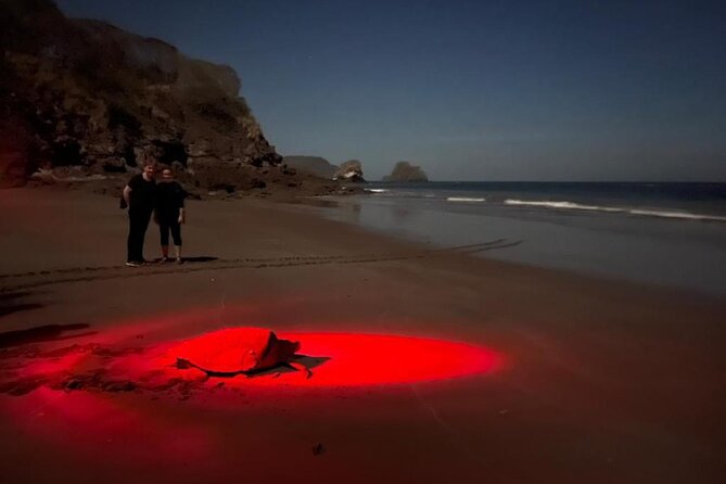 Turtle Watching Night Tours With Expert Naturalist - Tour Experience and Educational Insights