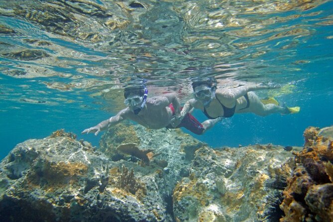 Two Stop Snorkel and Shipwreck From Dockyard - Cancellation Policy
