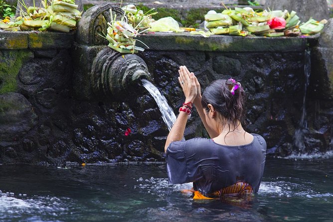 Ubud Private Highlights Tour With Lunch and In-Car Wi-Fi  - Kuta - Tour Overview and Inclusions
