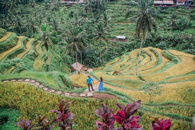 Ubud Tour - Best of Ubud Private Tour With Guide - All Inclusive - Tour Duration and Pick-up/Drop-off Details