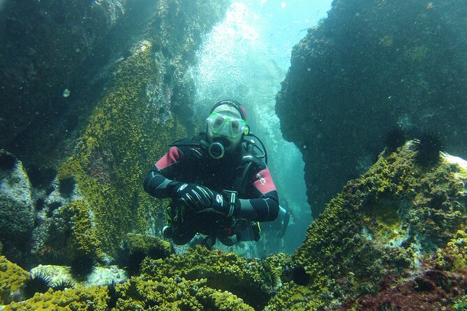 Ultimate All-Inclusive SCUBA Diving Adventure Await - Experience Highlights