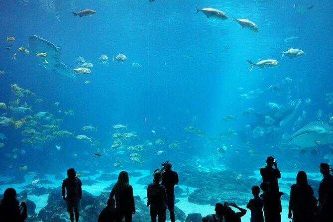 Ultimate Atlanta Walking Tour and Activities - Top Attractions to Visit in Atlanta