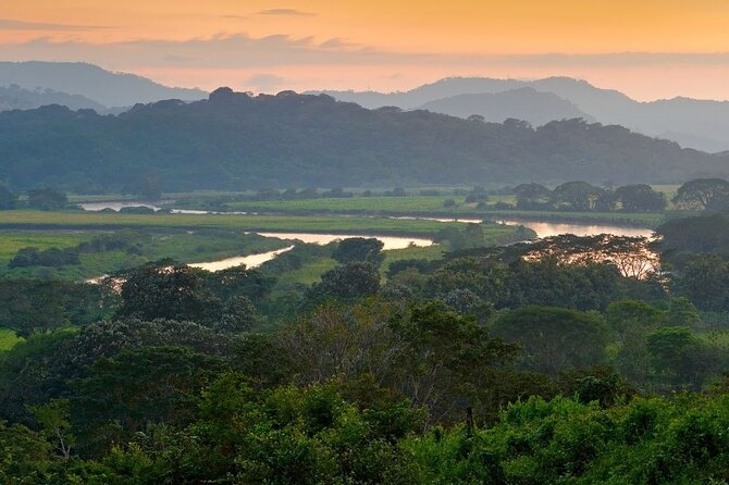 Uncover Wildlife Wonders at Carara National Park - Biodiversity Highlights