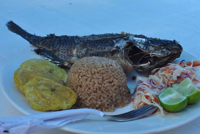 Unveiling a Land Adventure to Playa Blanca - Trip Overview