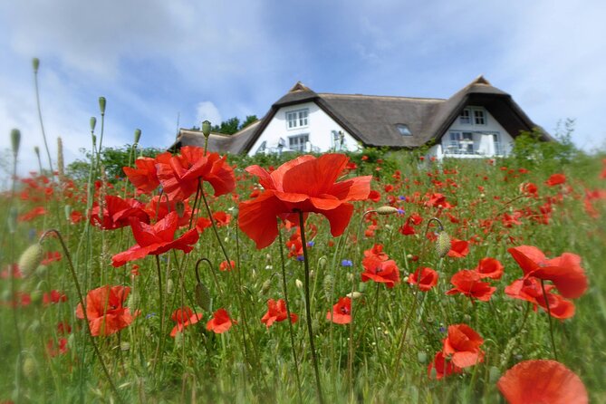 Usedom Private Walking Tour With A Professional Guide - Tour Highlights