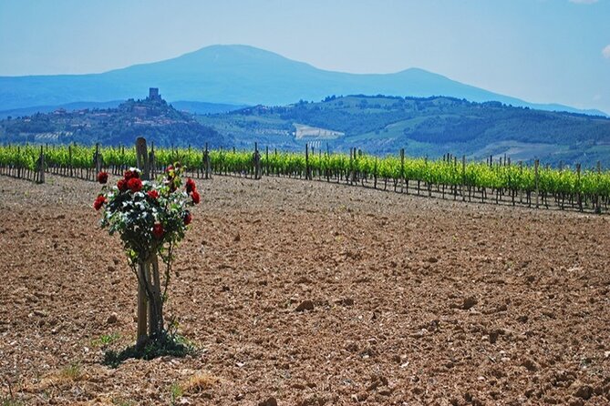 Val D Orcia Gourmet Food Tour From Siena - Tour Inclusions