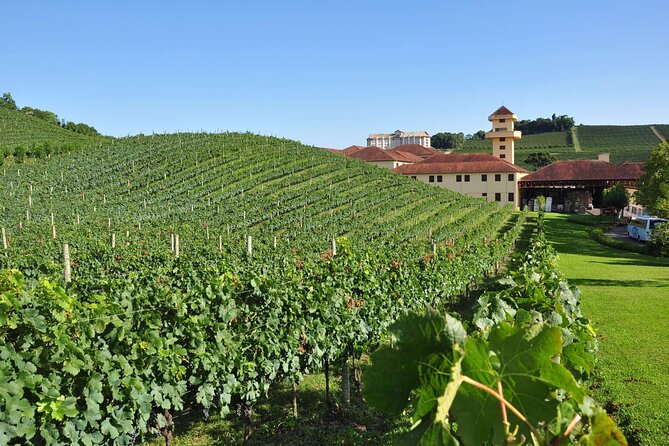 Vale Dos Vinhedos Private Tour From Porto Alegre or Gramado - Tour Pricing and Duration