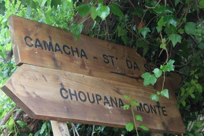 Vale Paraíso - Rochão (Half Day Walk) - Overview of Vale Paraíso - Rochão Half Day Walk