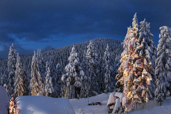 Vancouver Perfect Day Tour Grouse Mountain& Capilano Suspention Bridge Private - Inclusions