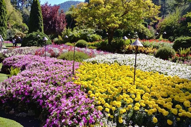 Vancouver Super Saver 3 Days City Tour With Victoria & Whistler - Itinerary Highlights