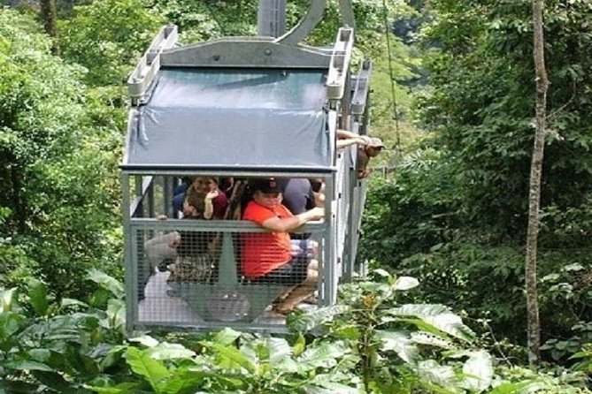 Veragua Rainforest - Veragua Rainforest Tour Highlights