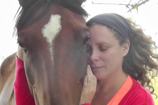 Vibrate Your Horse Heart - Healing With Horses - The Healing Power of Equine Therapy