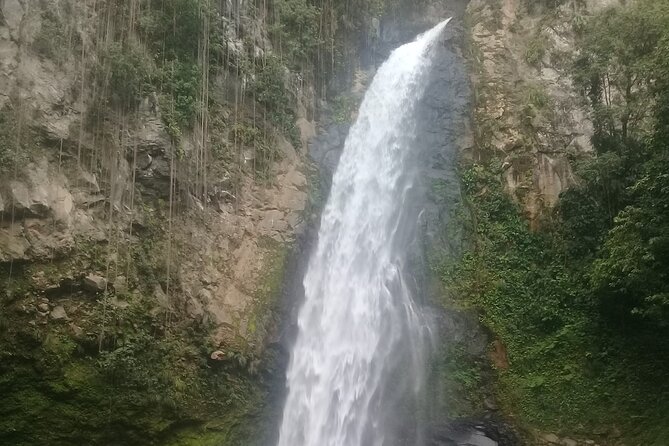 Victoria Fall Tour - Tour Provider and Price Details