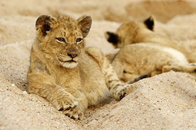 Village Tour Safari - Tour Details
