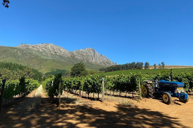 Vine Hopper: Hop-On Hop-Off Wine Tour - Northern Route - Pricing and Booking Details