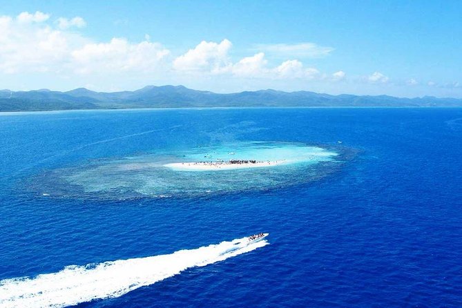 VIP Tour to Paradise Island & the Mangroves - Snorkeling Among Coral Gardens