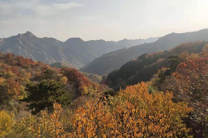Visit Mutianyu Great Wall&Tea House With Private Car and English Speaking Driver - Tour Highlights