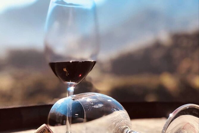 Visiting Local Vineyard With Wine Tasting & Lunch Included - Visuals and Experience