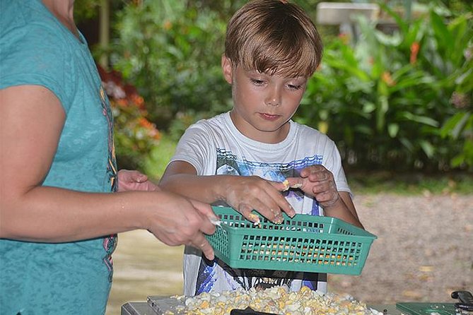 Volunteer Program at Wildlife Rescue Center in Costa Rica - Overview and Volunteer Experience