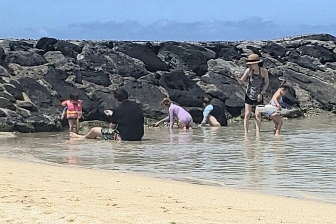 Waikiki! Very Shallow Snorkeling Fish Marinelife!Free Pics&Video! - Best Spots for Shallow Snorkeling in Waikiki