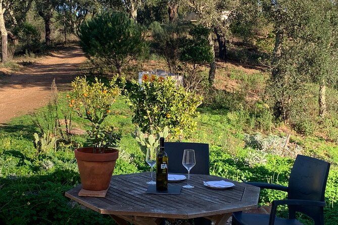 Walk in the Hills With Goat Herder-Local Honey, Wine and Cheese Tasting - Activity Overview