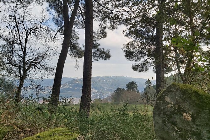 Walk & Wine in Braga - Tour Overview